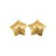 11645-Gold-Sparkling-Star-Nipple-Covers-LingerieCy-1.jpg