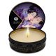 20831-Shunga-massage-candle-exotic-fruits-Love-Shop-Cyprus.jpg