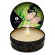20833-shunga-massage-candle-green-tea-loveshop-ayia-napa.jpg