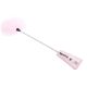 23829-two-in-one-feather-tickler-and-spanking-crop-pink-love-shop-cy.jpg