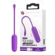 8715-pretty-love-joyce-purple-bullet-vibrator-sexshopcyprus.jpg