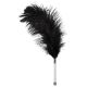 Bad-Kitty-Black-Feather-Teaser-loveshop-cy.jpg