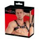 Bad-Kitty-Chest-Harness-for-Him-77103.jpg